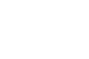 via 313 logo - white